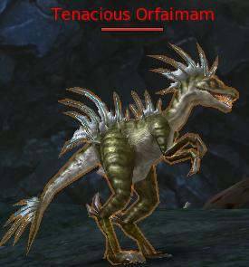 Tenacious Orfaimam